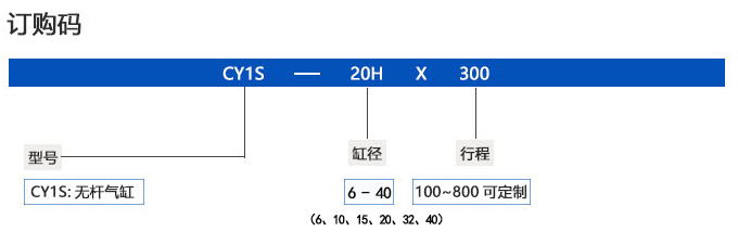 CY1S訂購碼.jpg