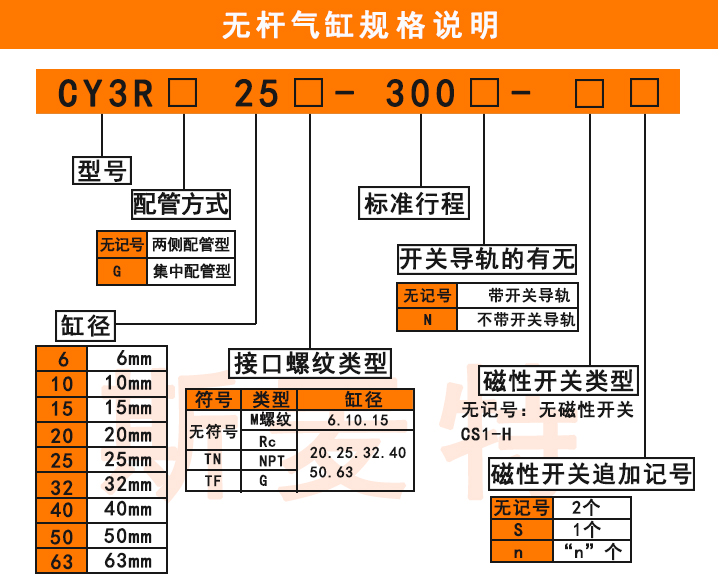 CY3R無桿氣缸